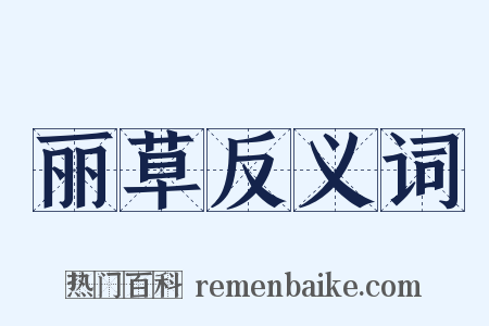 丽草反义词是什么意思的图片